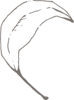 잎