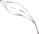 잎