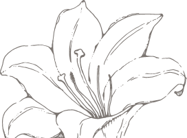 잎